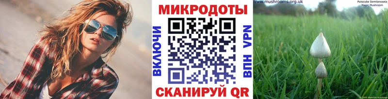 blacksprut ТОР купить наркоту Алзамай Галлюциногенные грибы Psilocybine cubensis